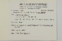 玉山抱莖籟簫藏品圖，第2張
