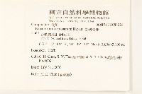 臺灣澤蘭藏品圖，第2張