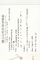 青牛膽藏品圖，第2張