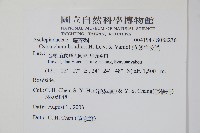 薄葉牛皮消藏品圖，第2張