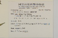 臺灣馬蘭藏品圖，第2張