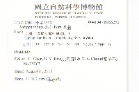 葶藶藏品圖，第2張