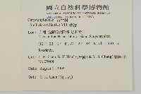 繁縷藏品圖，第2張