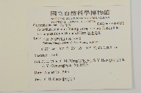 簇生卷耳藏品圖，第2張