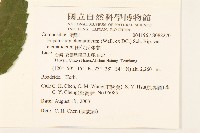 田代氏澤蘭藏品圖，第2張