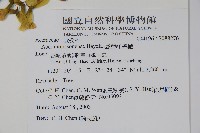 臺灣紅榨槭藏品圖，第2張