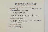 黃金珠藏品圖，第2張