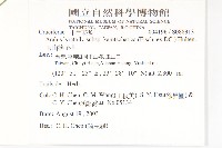 玉山筷子芥藏品圖，第2張