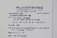 牛膝藏品圖，第2張