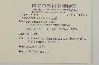 山白蘭藏品圖，第2張