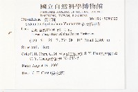 森氏佛甲草藏品圖，第2張