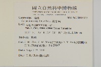 黃金珠藏品圖，第2張