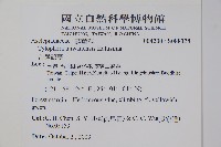 台灣鷗蔓藏品圖，第2張