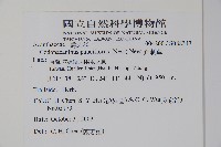 針刺草藏品圖，第2張