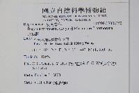 水鴨腳藏品圖，第2張