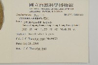 欖仁藏品圖，第2張