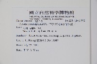 平伏莖白花菜、成功白花菜藏品圖，第2張