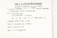 薺藏品圖，第5張