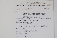 裂葉秋海棠藏品圖，第2張