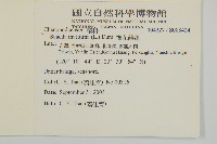 裸花鹼蓬藏品圖，第2張