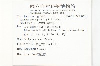 馬鞍藤藏品圖，第2張