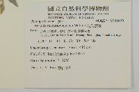 馬氏濱藜藏品圖，第2張