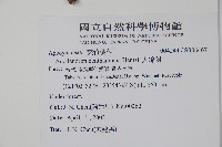 大錦蘭藏品圖，第2張