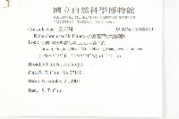 小燈籠草、大還魂藏品圖，第2張