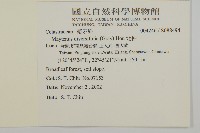 北仲, 刺裸實藏品圖，第2張