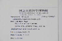 酸藤藏品圖，第2張