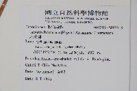 水鴨腳藏品圖，第2張