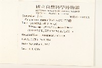 紅面番藏品圖，第2張