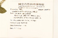 金腰箭藏品圖，第2張