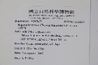 水鴨腳藏品圖，第2張