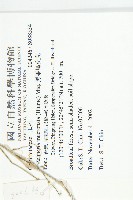 黑果馬交兒藏品圖，第2張