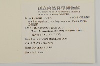 長萼瞿麥藏品圖，第2張