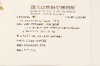 一枝香藏品圖，第2張