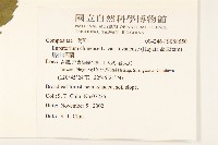 塔山澤蘭藏品圖，第2張