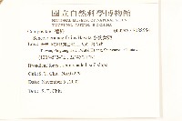 小蔓黃苑藏品圖，第2張