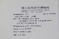 土牛膝藏品圖，第2張