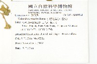 小燈籠草、大還魂藏品圖，第2張