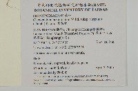 變葉藜藏品圖，第2張