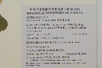 紫花霍香薊藏品圖，第2張