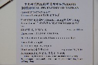 呂宋莢迷藏品圖，第2張