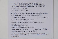 爵床藏品圖，第2張
