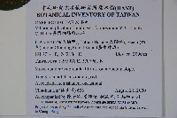 臺灣蝴蝶戲珠花、臺灣蝴蝶花藏品圖，第2張