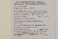 臺灣馬蘭藏品圖，第2張