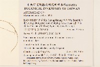 矮菊藏品圖，第2張