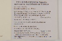 黃金珠藏品圖，第2張