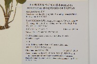 臺灣鬼督郵藏品圖，第2張